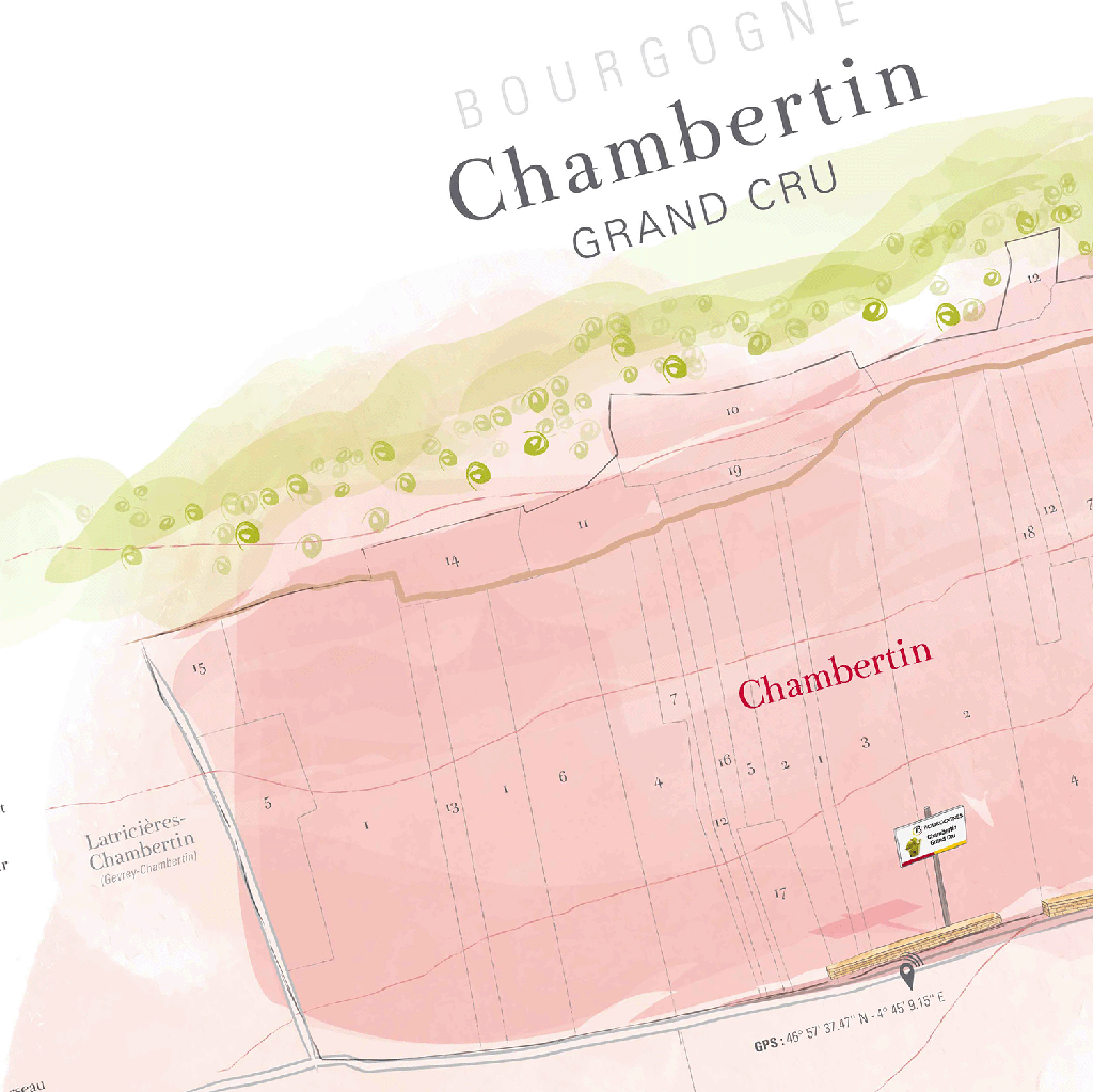 LAURENT GOTTI Chambertin Grand Cru Wine Map (FR) | Amelie USA